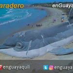 playa Varadero