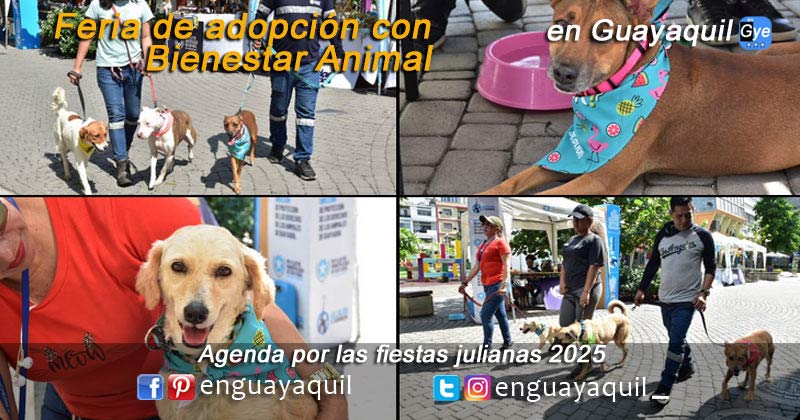 Fiestas julianas 2025