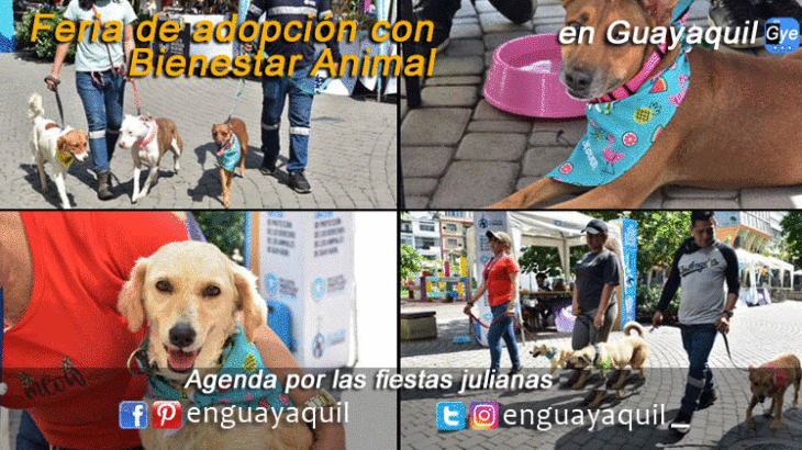Fiestas julianas Agenda