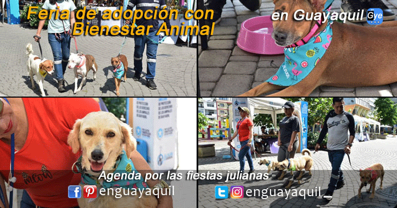 Fiestas julianas Agenda