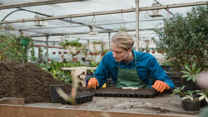 Oportunidades en Guayaquil